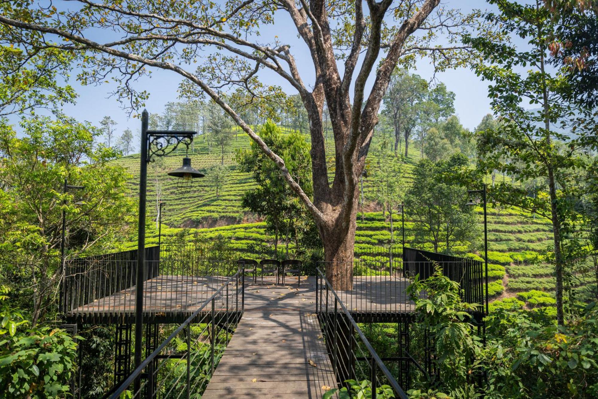 Flora Vythiri Resort Exterior photo